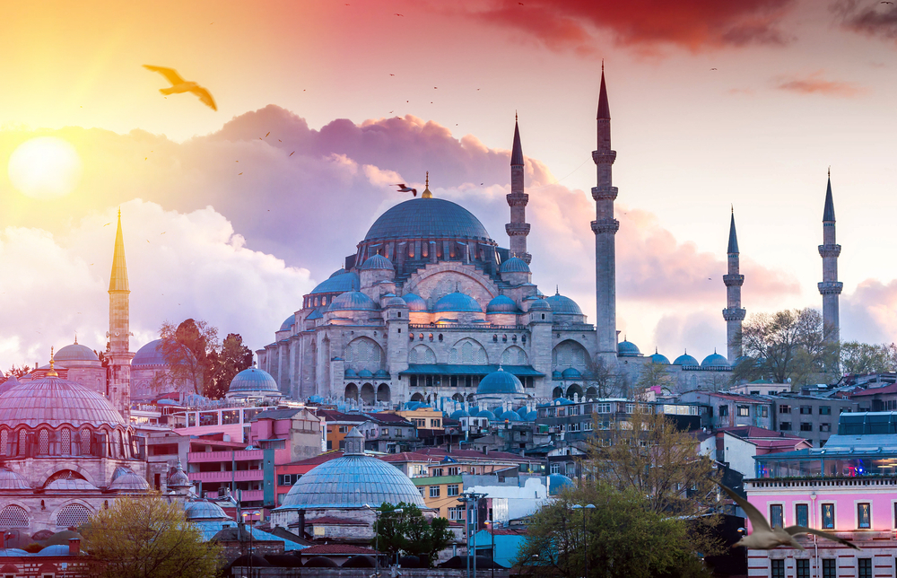 Turkey Sticker Visa
